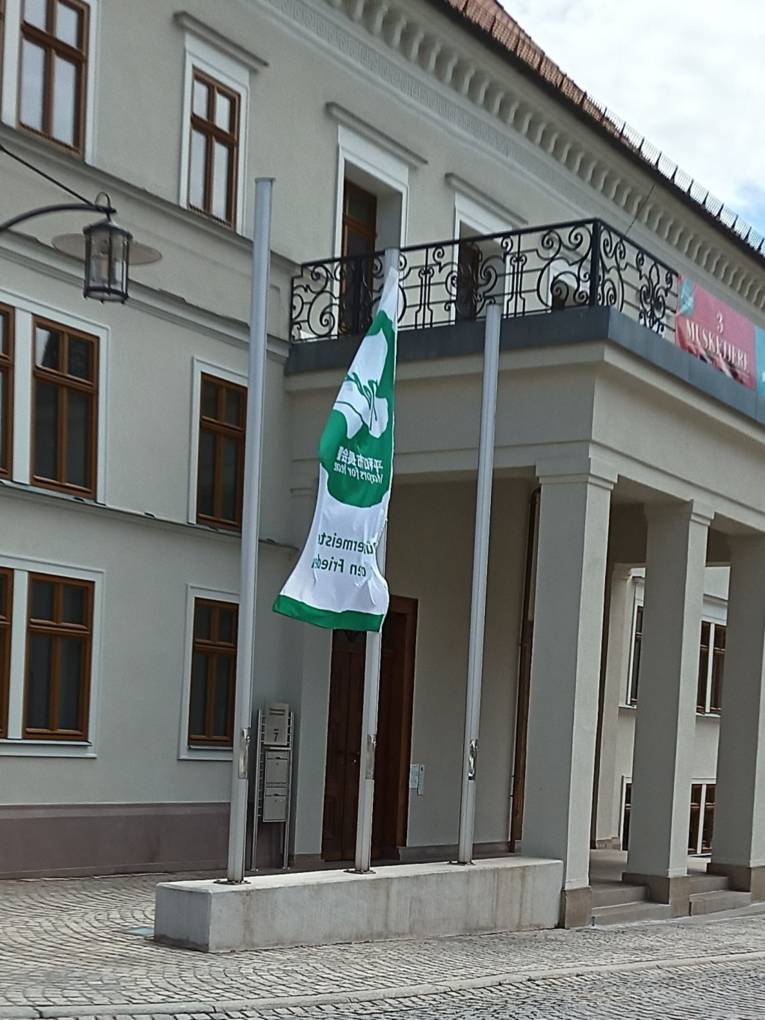 Die Mayors-for-Peace-Flagge weht vor einem Gebäude in Sondershausen (Thüringen) im Wind.